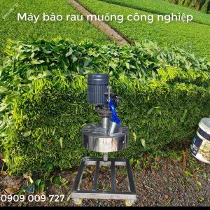 Máy bào rau muống công nghiệp